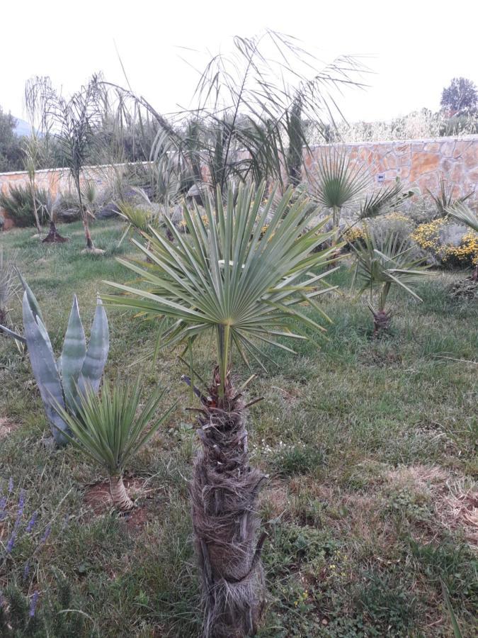 Palm Paradise Stobreč Buitenkant foto